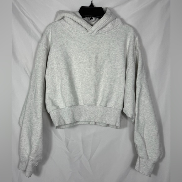 Tna Aritzia Women's Gray Cropped Hoodie In Heather Gray, Size Small. NWOT. - Picture 7 of 11